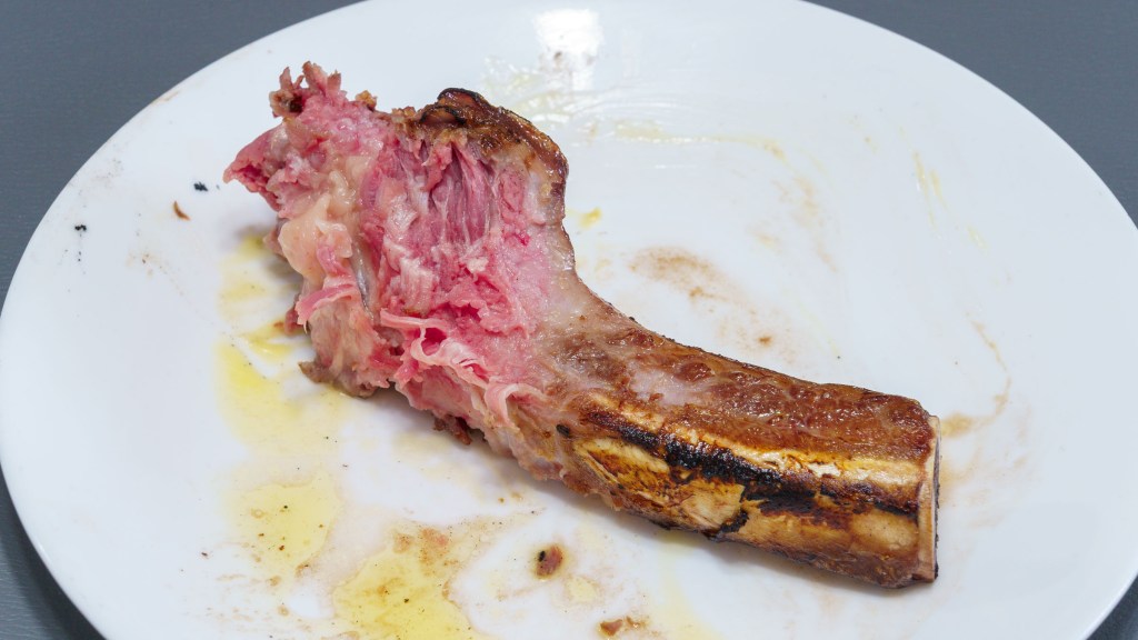 Close-up photograph of part of a rib bone which has been gnawed on and sucked off