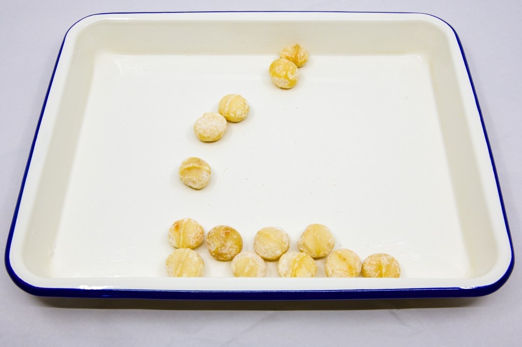 Reviving my nuts. Queensland nuts (Genus Macadamia).