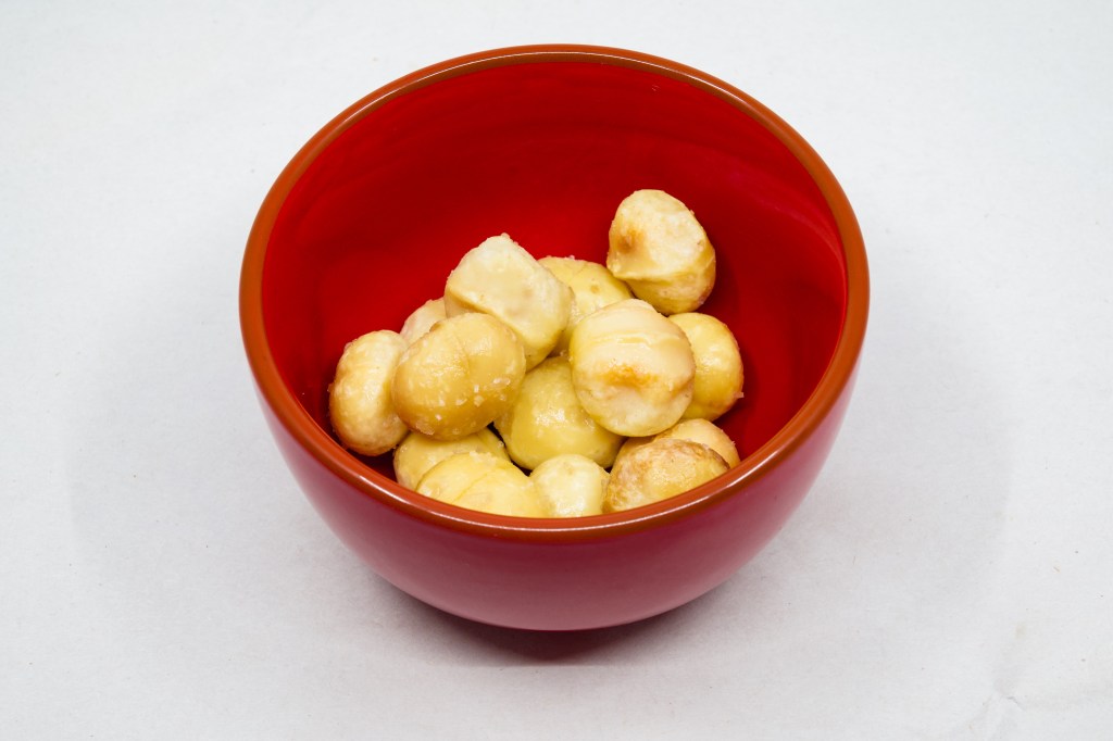 Reviving my nuts. Queensland nuts (Genus Macadamia).