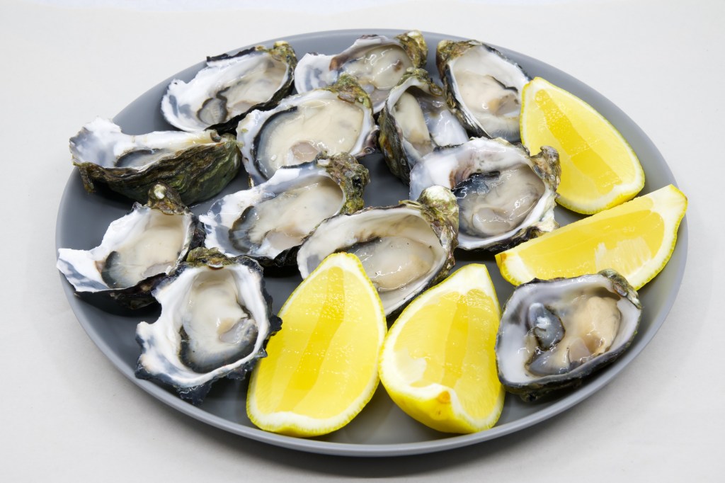 Oysters