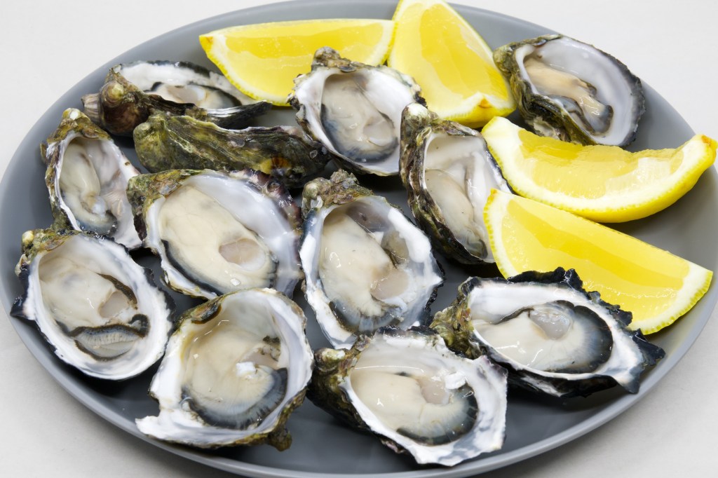 Oysters